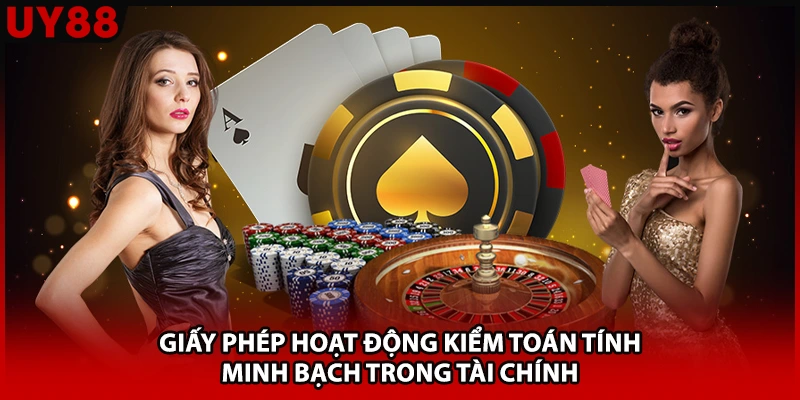Giấy phép hoạt động kiểm toán tính minh bạch trong tài chính 